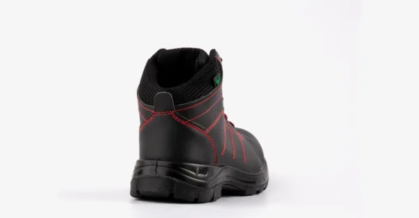 Borcegui Plexus Negro