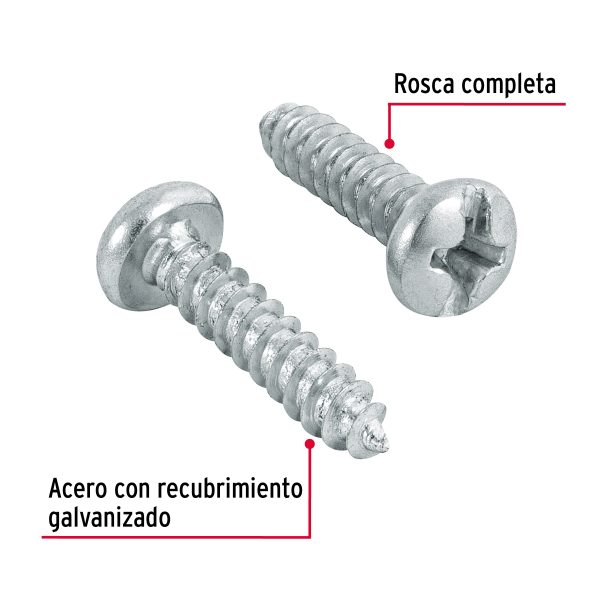 PILA-6X5-8FC1.jpg Bolsa con 200 pijas para lámina, #6 x 5/8', Fiero