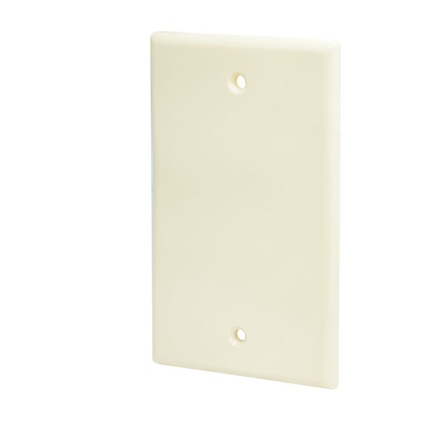 136603 - Placa ciega plástica, línea estándar, color marfil Surtek