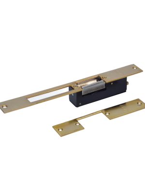 EC11.jpg EC11 - Contra eléctrica con bobina, latón brillante, en caja Lock