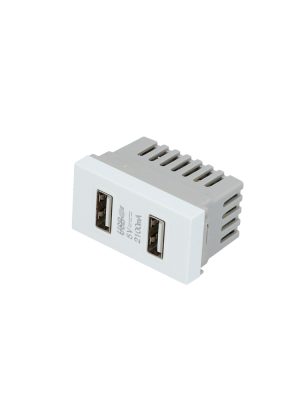 P617B - Módulo USB doble 1/3, línea Premium, color blanco Surtek