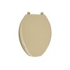 47035 - Asiento alargado con tapa para WC, abierto, beige, FOSET