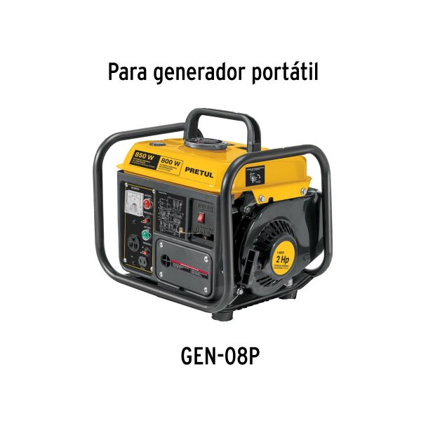 29876 - Juego de carburador con juntas para GEN-08P, PRETUL