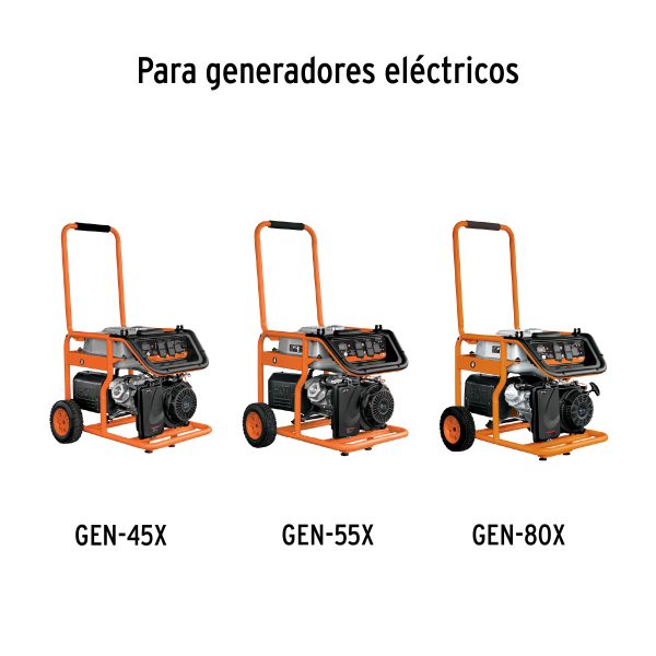 12666 - Bolsa con 2 carbones d/repuesto p/generadores Grupo 7,TRUPER