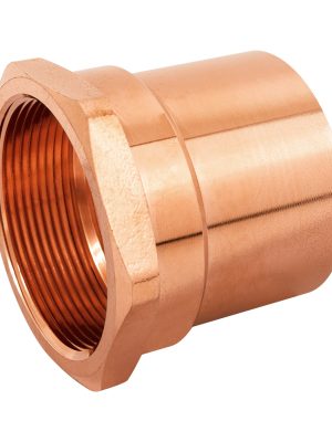 CC-606.jpg 48900 - Conector de cobre, rosca interior 2', Foset