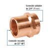 48881 - Conector reducido hembra 3/4 x 1/2', Foset