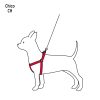 44294 - Correa con pechera para perro, 1 cm ancho, Fiero