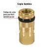 19084 - Cople rápido de latón, hembra, cuerda 1/4' NPT, TRUPER