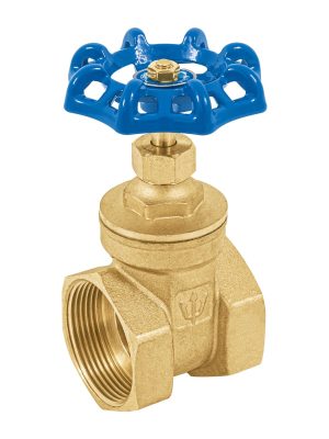 49021 - Válvula de compuerta de latón roscable de 1 1/2', Foset