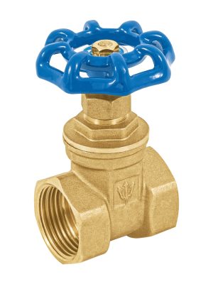 49019 - Válvula de compuerta de latón roscable de 1', Foset