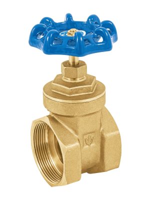 49022 - Válvula de compuerta de latón roscable de 2', Foset