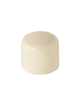 CPVC-362.jpg 45119 - Tapón de CPVC 3/4', Foset