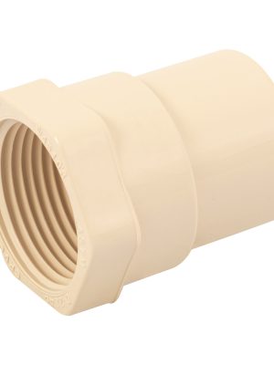 CPVC-603.jpg 45103 - Conector hembra de CPVC 1', Foset