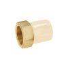 CPVC-646.jpg 44929 - Adaptador CPVC, 2', hembra inserto metálico-latón, FOSET