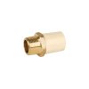 45105 - Adaptador macho de CPVC 3/4' con inserto de latón, FOSET