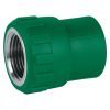 49885 - Adaptador PPR 1/2' hembra con inserto metálico, Foset