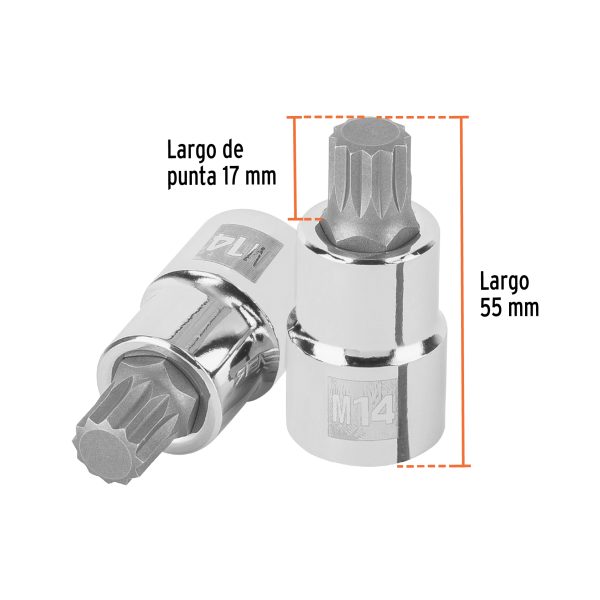 101246 - Dado punta corta bristol M14, cuadro 1/2', Truper