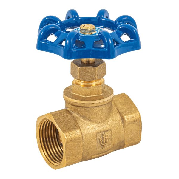 49037 - Válvula de globo de latón, roscable de 1', Foset