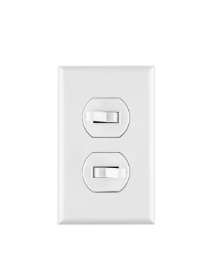 45953 - Placa armada 2 interruptores sencillo, línea Standard, blanc