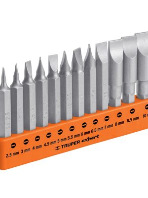 101677 - Juego de 12 puntas planas mm combinadas largo 2', Expert