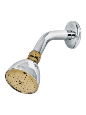 R-509G.jpg 49147 - Regadera cónica 2-1/2' cromo-oro brazo y chapetón acero