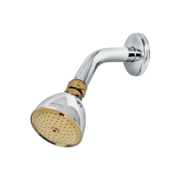49147 - Regadera cónica 2-1/2' cromo-oro brazo y chapetón acero