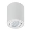 49718 - Luminario de sobreponer con spot dirigible, redondo, blanco
